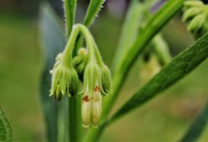 男性におすすめのニキビ跡治療法ランキングは？