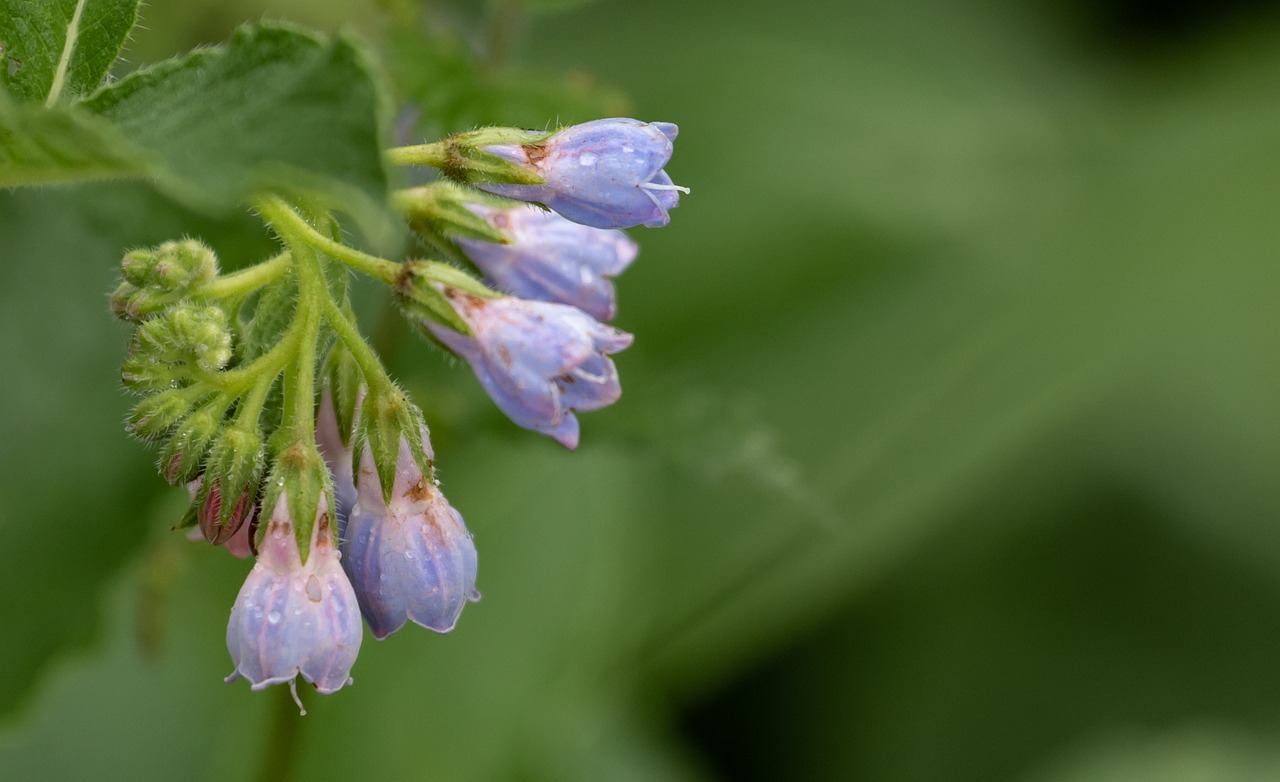 男性のニキビ跡を春に改善するための花粉対策は？