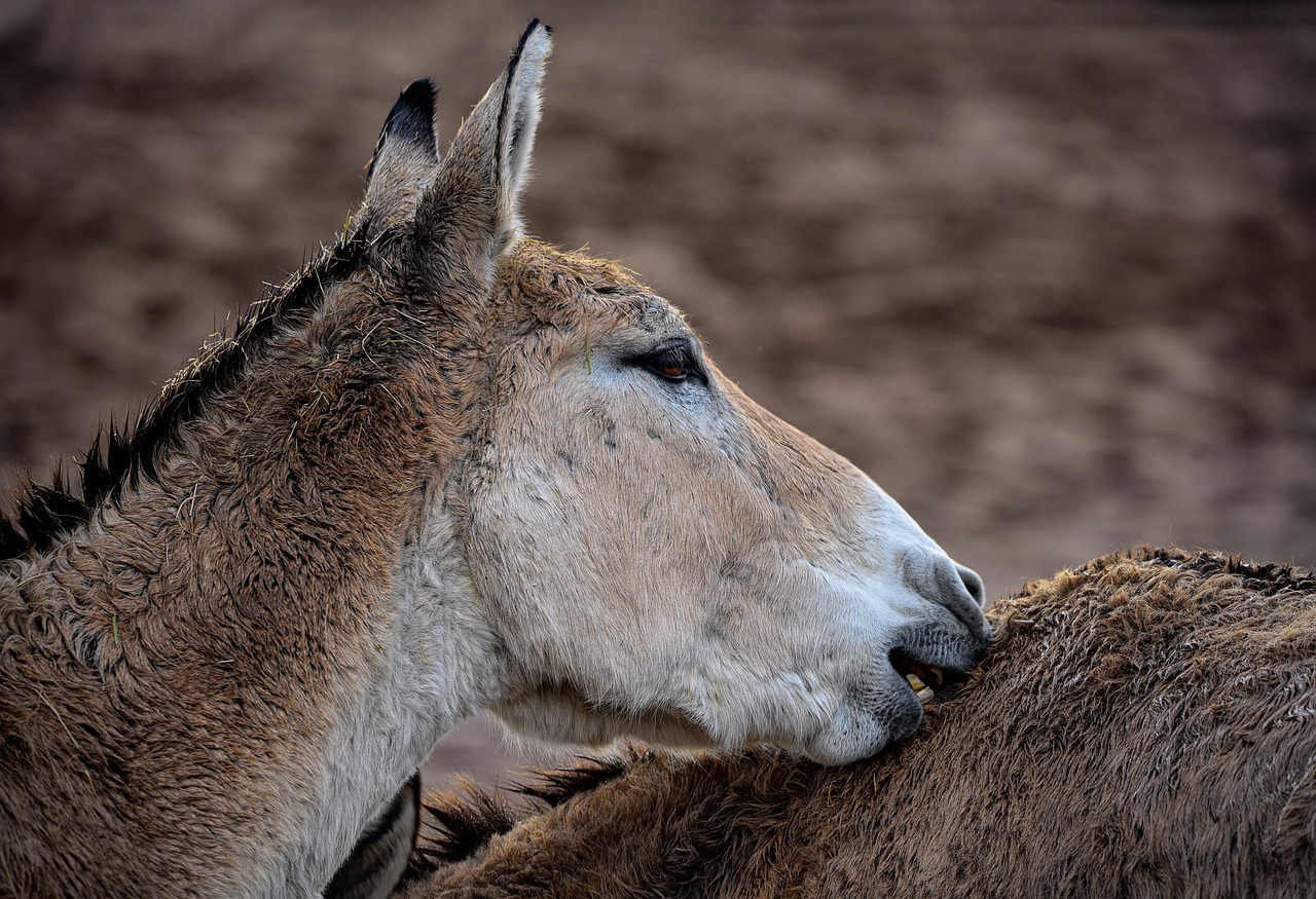 男性のお尻のニキビ跡を効果的に治す方法は？