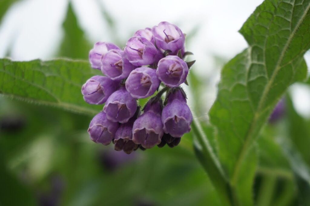 ニキビ跡のケアはどこがいい？大人男子が知りたい効果的な方法とは？